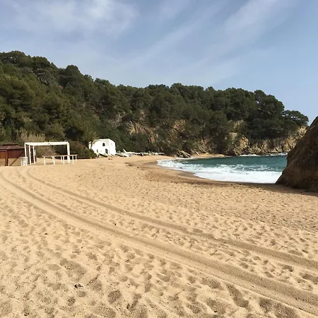 Апартаменты Quiet Cala Canyellas Льорет-де-Мар